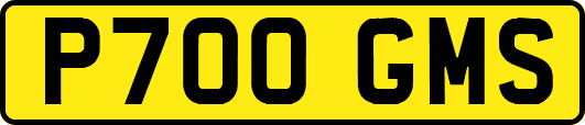 P700GMS