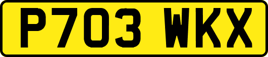 P703WKX