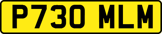 P730MLM