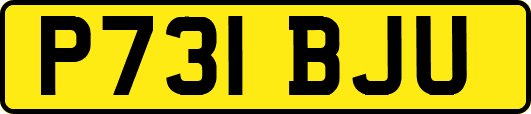 P731BJU
