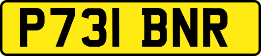 P731BNR