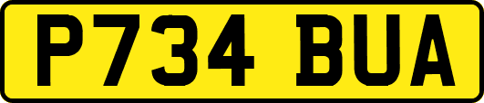 P734BUA