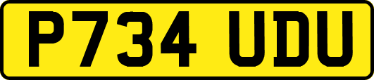 P734UDU