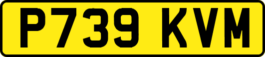 P739KVM