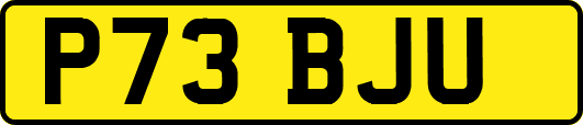 P73BJU