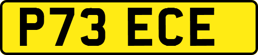 P73ECE