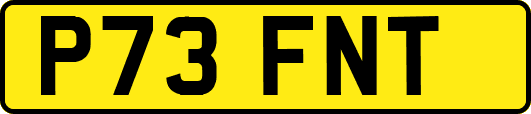 P73FNT