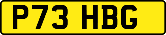 P73HBG