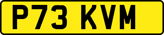 P73KVM