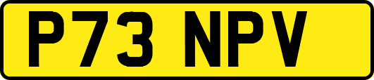 P73NPV