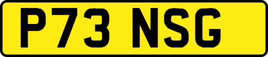 P73NSG