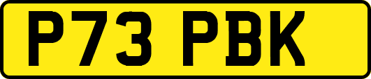 P73PBK