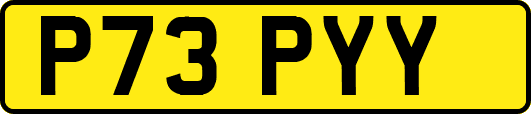 P73PYY