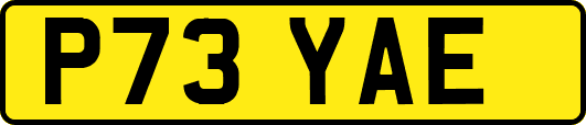 P73YAE