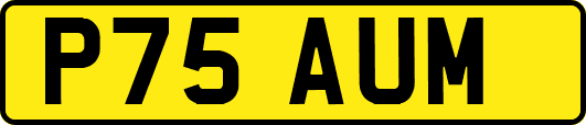 P75AUM