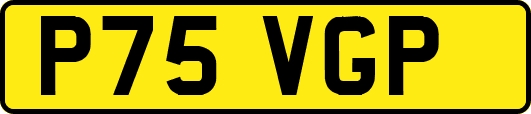 P75VGP