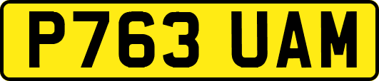 P763UAM