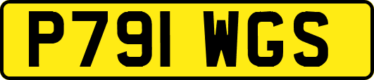 P791WGS