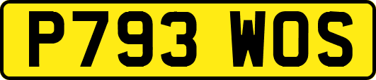 P793WOS