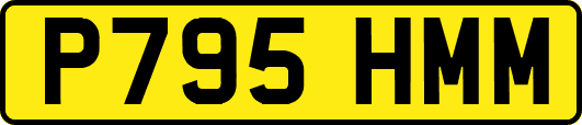 P795HMM