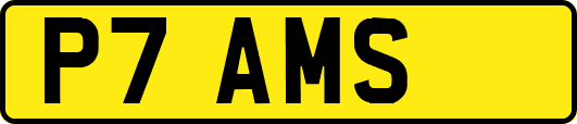 P7AMS