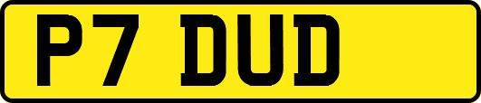 P7DUD