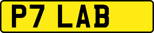 P7LAB