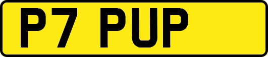 P7PUP