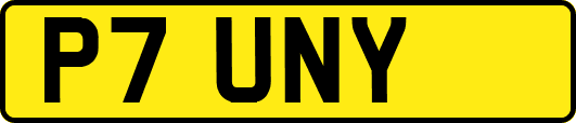 P7UNY