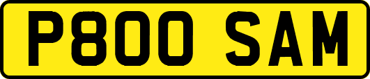 P800SAM
