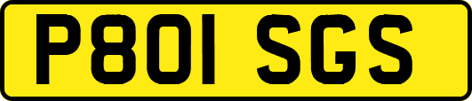 P801SGS