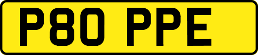 P80PPE
