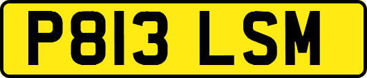 P813LSM