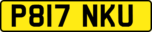 P817NKU