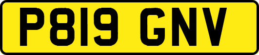 P819GNV