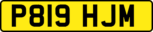 P819HJM