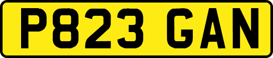 P823GAN