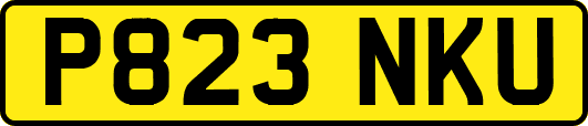 P823NKU