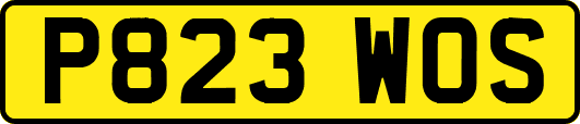 P823WOS