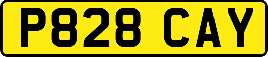 P828CAY