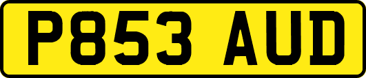 P853AUD