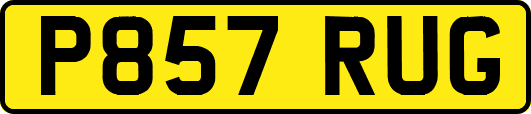 P857RUG