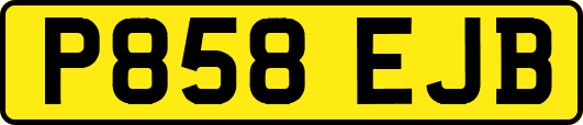 P858EJB