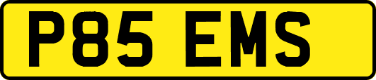 P85EMS