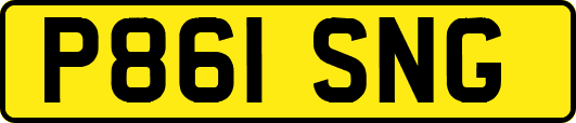 P861SNG