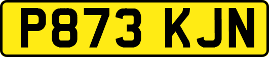 P873KJN