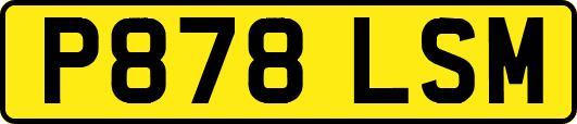 P878LSM