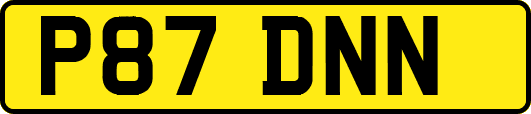 P87DNN