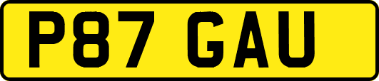P87GAU