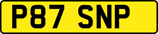 P87SNP